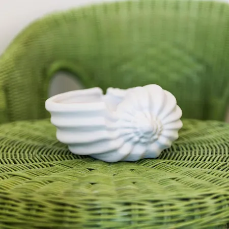 Apartman La Pavoncella